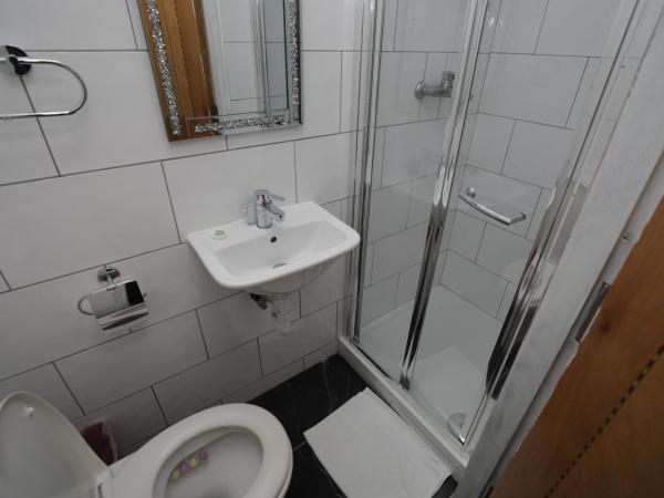 Holland Inn Hotel : photo 3 de la chambre chambre simple