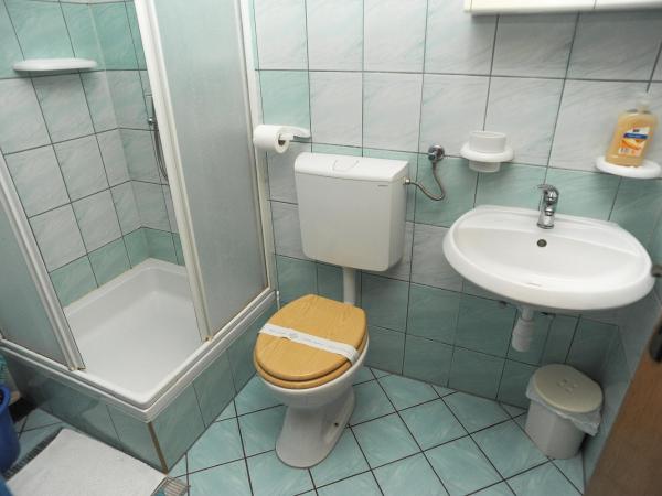 Apartmani Vila Caska : photo 2 de la chambre studio avec terrasse