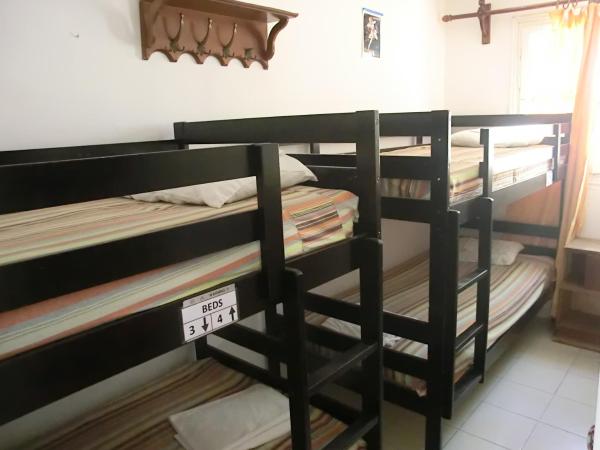 Santorini Camping & Hostel : photo 9 de la chambre lit superposé dans dortoir pour femmes