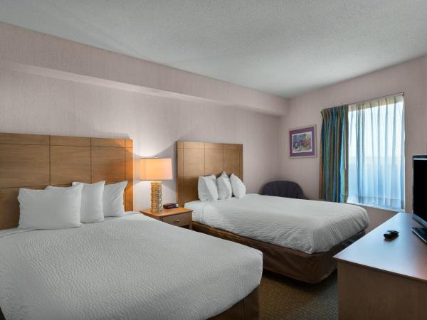 Sea Watch Resort : photo 5 de la chambre suite 2 chambres - côté océan