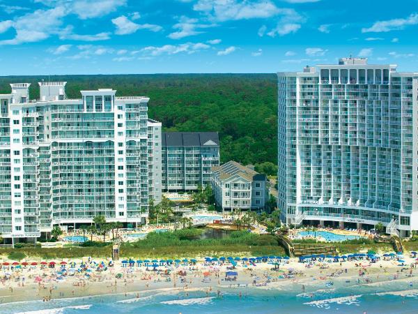 Sea Watch Resort : photo 4 de la chambre studio - bord de mer