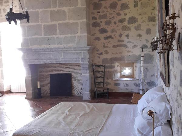 Château de Cauderoue : photo 3 de la chambre suite - vue sur jardin