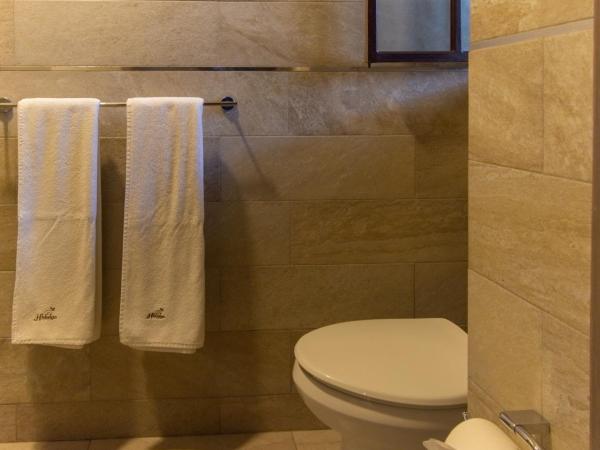 Hotel Hidalgo : photo 8 de la chambre chambre double standard