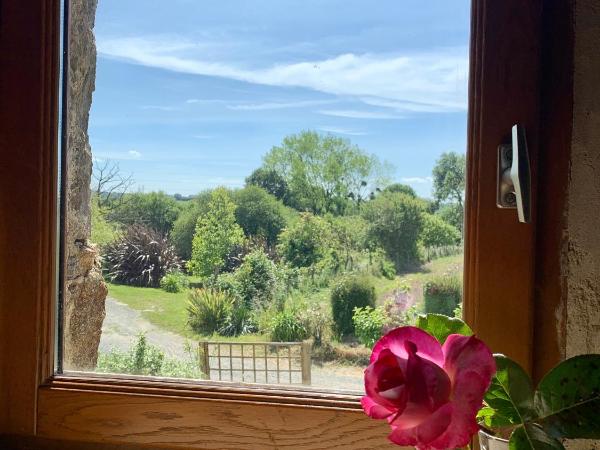 Chambres d'Hôtes du Manoir du Haut Salmon : photo 3 de la chambre chambre double