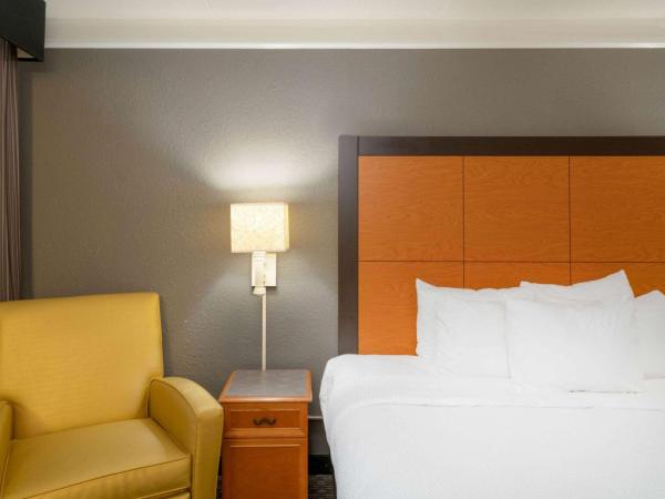 La Quinta Inn by Wyndham Nashville South : photo 4 de la chambre chambre lit king-size