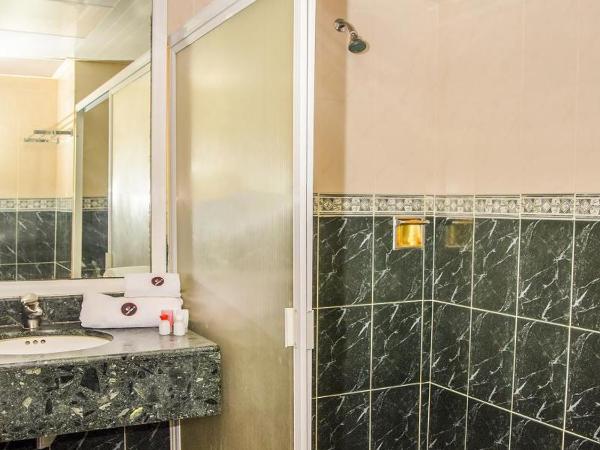 Hotel El Senador : photo 5 de la chambre room #53847111