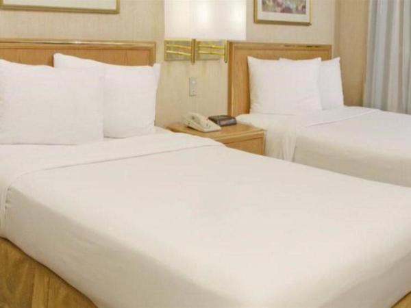 Travohotel Monterrey Histórico : photo 2 de la chambre room #135849410