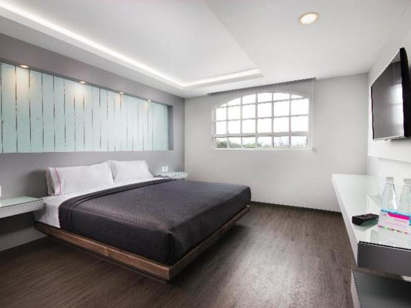 Hotel MX congreso : photo 1 de la chambre room #43530147