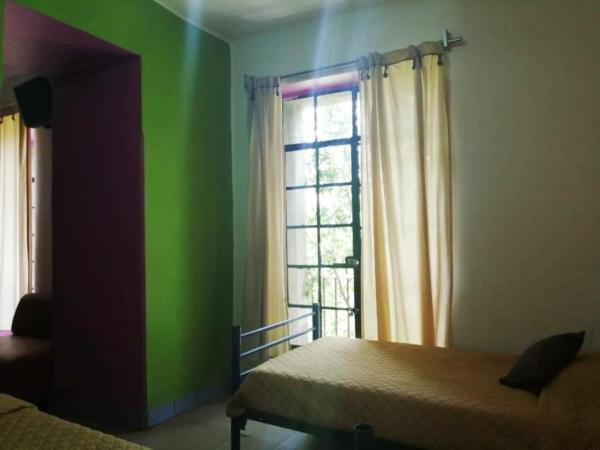 Hotel Amigo Suites : photo 2 de la chambre room #31667927