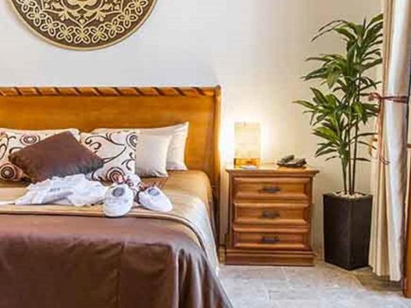 Dos Patios Querétaro Curamoria Collection : photo 5 de la chambre room #4710911