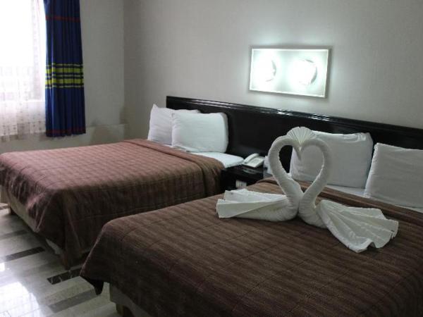 Aristos Puebla : photo 1 de la chambre room #7819116
