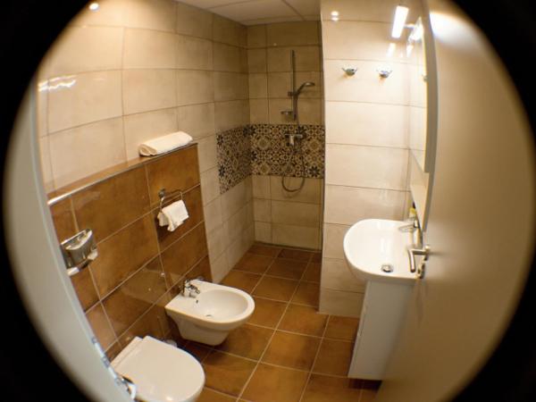 Element : photo 9 de la chambre appartement avec douche