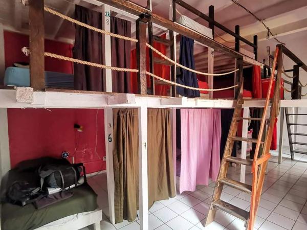 Iguana Hostel Oaxaca : photo 2 de la chambre lit simple dans dortoir mixte