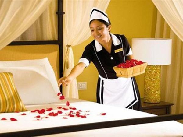 Dreams Tulum Resort & Spa : photo 2 de la chambre room #27195233