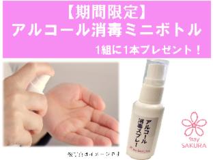 Stay SAKURA Kyoto Matsuri : photo 9 de la chambre room #485925006