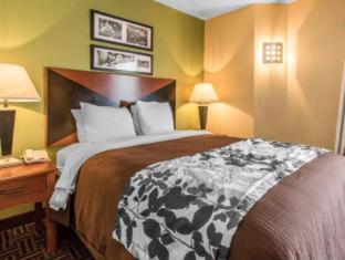 The Douillet by Demeure Hotels : photo 1 de la chambre room #5940105