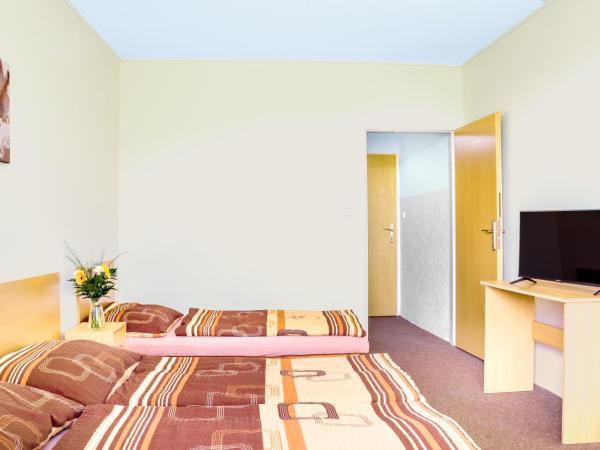 Hotel Zannam : photo 1 de la chambre chambre triple avec terrasse