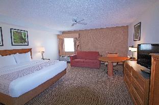 La Quinta by Wyndham Orlando South : photo 2 de la chambre room #41592813