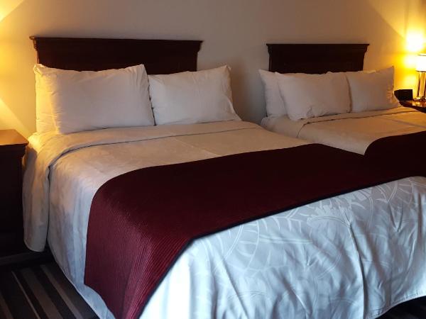 Hotel Le Saint-Paul : photo 4 de la chambre chambre double supérieure avec deux lits doubles