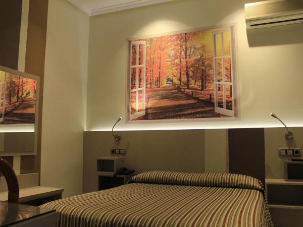 Hostal Atocha Almudena Martín : photo 4 de la chambre chambre simple