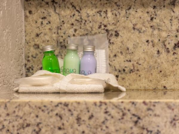 Hotel Flamingo Inn : photo 7 de la chambre chambre double avec 2 lits doubles