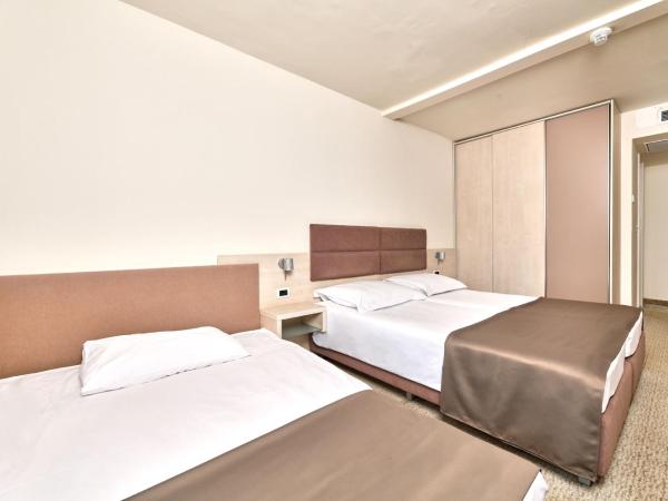 Hotel Mediteran Plava Laguna : photo 3 de la chambre chambre classique avec balcon et canapé-lit - côté parc