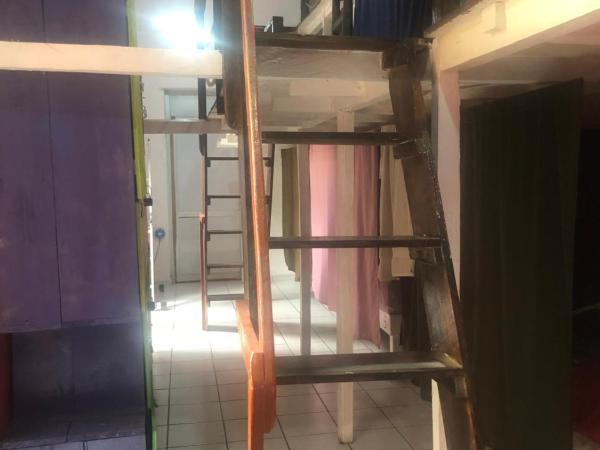 Iguana Hostel Oaxaca : photo 5 de la chambre lit simple dans dortoir mixte