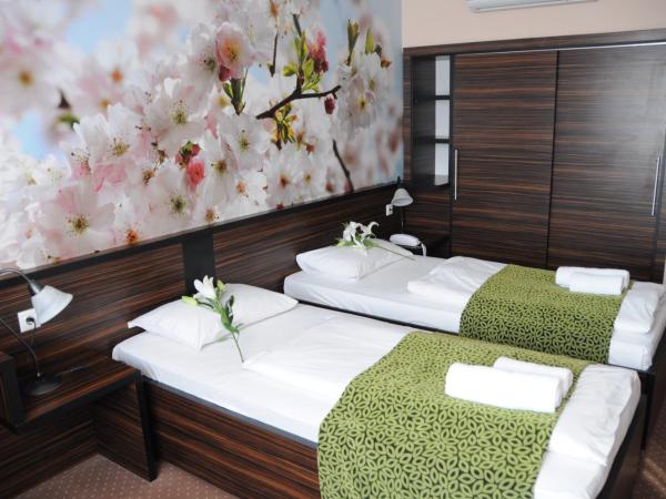 Green Hotel Budapest : photo 3 de la chambre chambre lits jumeaux standard