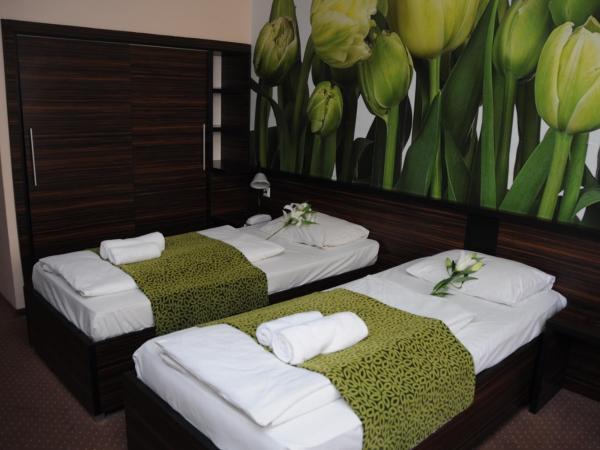 Green Hotel Budapest : photo 4 de la chambre chambre lits jumeaux standard