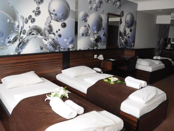 Green Hotel Budapest : photo 1 de la chambre chambre double ou lits jumeaux supérieure