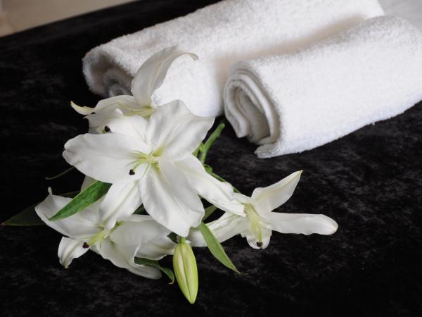 Green Hotel Budapest : photo 7 de la chambre chambre double ou lits jumeaux supérieure