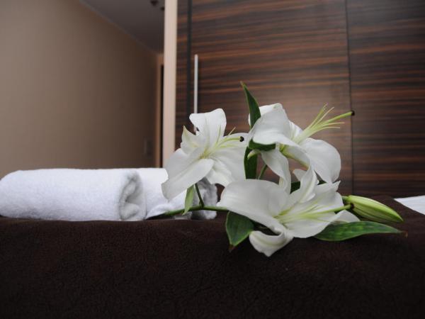 Green Hotel Budapest : photo 4 de la chambre chambre triple