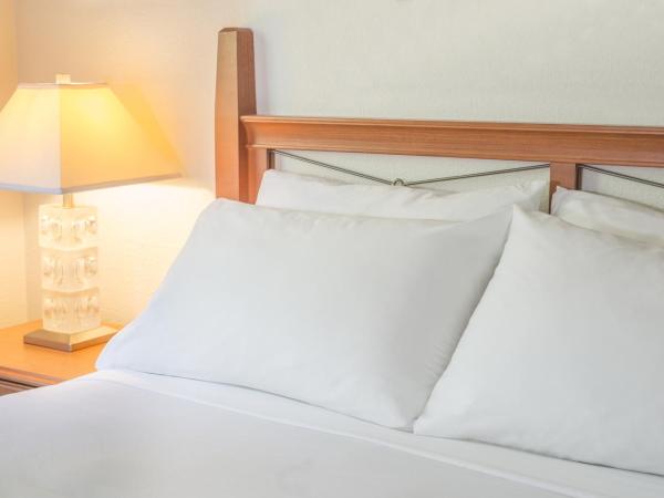 Robin Hood Inn and Suites : photo 1 de la chambre chambre standard lit queen-size