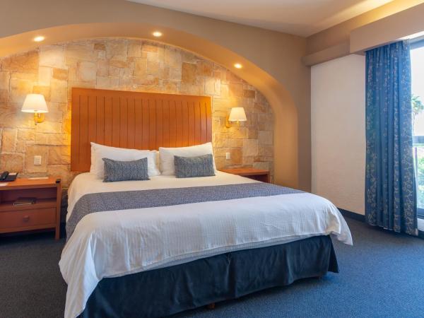 Hotel Flamingo Inn : photo 1 de la chambre suite junior