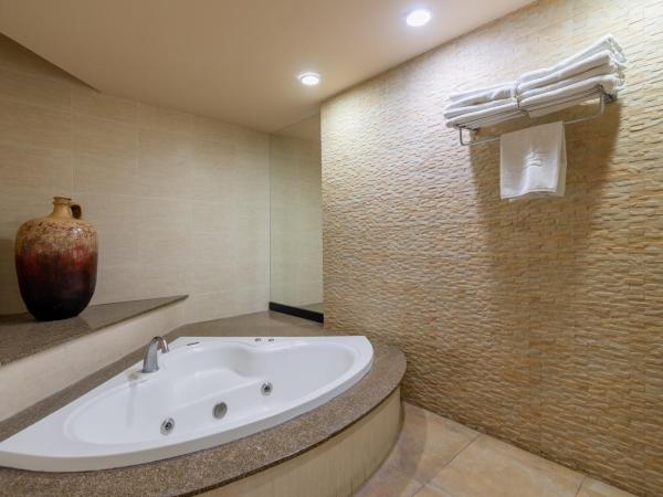 Hotel Flamingo Inn : photo 7 de la chambre suite avec baignoire spa