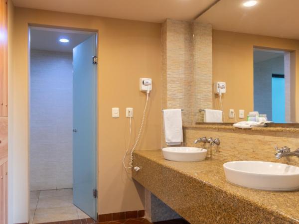 Hotel Flamingo Inn : photo 9 de la chambre suite avec baignoire spa