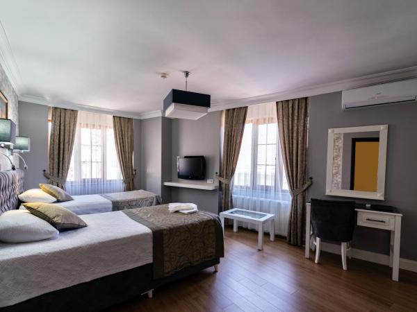 Levent Hotel Istanbul : photo 3 de la chambre chambre double ou lits jumeaux standard