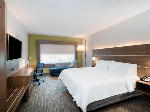 Holiday Inn Express & Suites Atlanta Airport NE - Hapeville, an IHG Hotel : photo 3 de la chambre chambre lit king-size standard