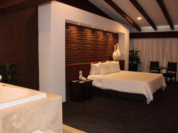 Radisson Hotel Tapatio Guadalajara : photo 5 de la chambre suite studio lit king-size - non-fumeurs