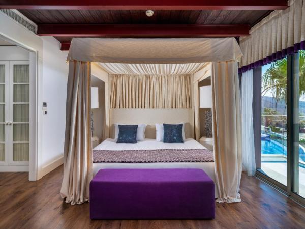 Hillstone Bodrum Hotel & Spa : photo 3 de la chambre suite panaroma