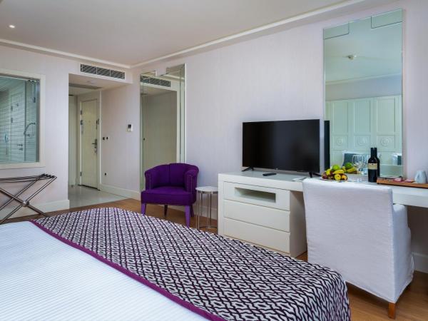 Hillstone Bodrum Hotel & Spa : photo 1 de la chambre chambre de luxe - vue sur jardin