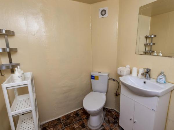 Budapest Three Cats Hostel : photo 8 de la chambre chambre double avec salle de bains privative