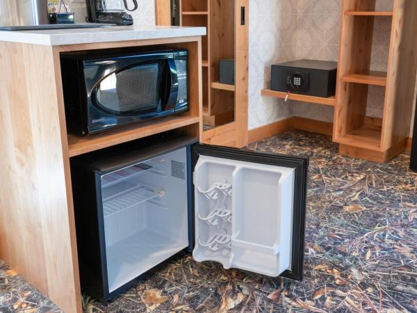 The Dorothy Motel : photo 8 de la chambre chambre lit king-size supérieure - hôtel