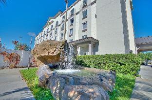 Sonesta Essential Orlando : photo 1 de la chambre room #5612434