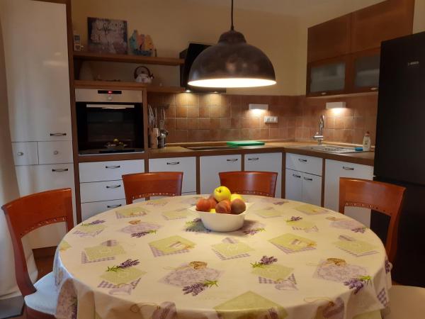 Guest House Stancija Kovacici : photo 3 de la chambre appartement - vue sur piscine