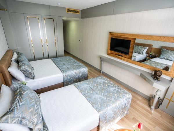 Lion City Hotel Kizilay : photo 4 de la chambre chambre double