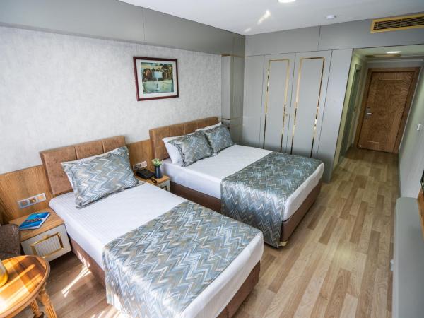 Lion City Hotel Kizilay : photo 1 de la chambre chambre double