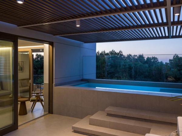 SanSal Boutique Hotel : photo 6 de la chambre suite deluxe avec piscine privée