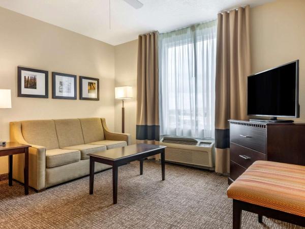 Comfort Suites Maingate East : photo 3 de la chambre suite 1 chambre lit king-size avec canapé-lit - non-fumeurs