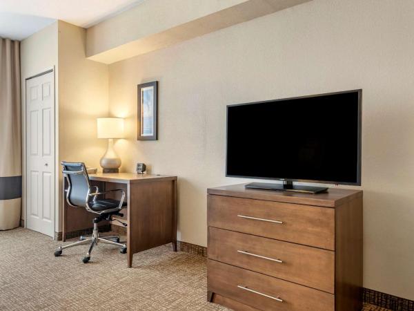 Comfort Suites Maingate East : photo 7 de la chambre suite lit queen-size